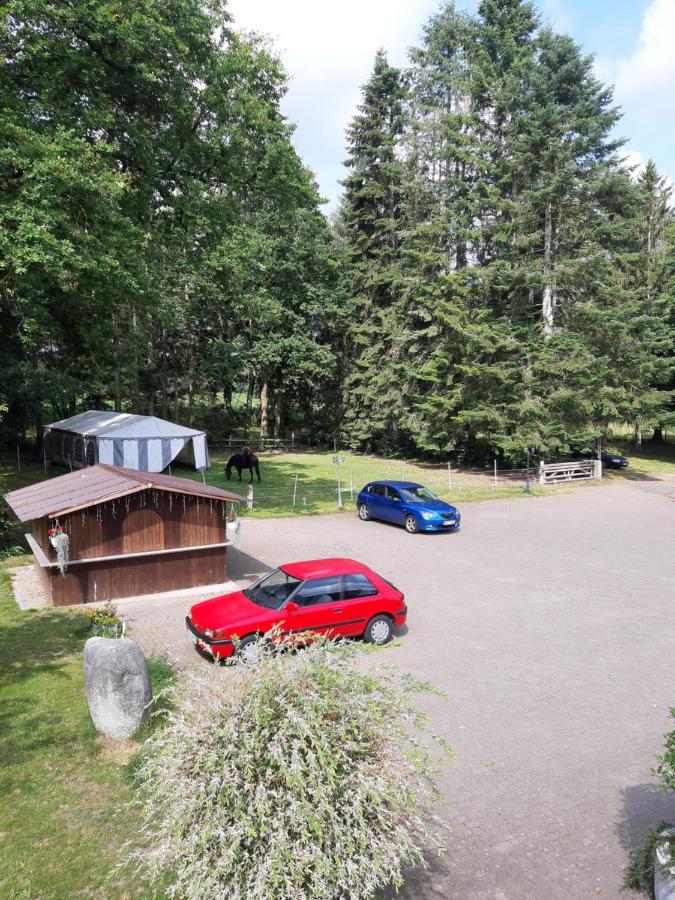 Pension Im Rehwinkel Soltau Exterior foto